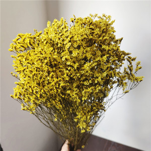 Fleurs séchées de gypsophile cristallin préservées pour l'aménagement intérieur, bouquet de mariage DIY, fleur artificielle de gypsophile - Product Image 6