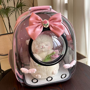 Large Capacity Eco-Friendly Outdoor Anti-Scratch Dog Cat Bird <b>Small</b> Animal <b>Backpack</b> Cute Transparent Pet Carrier Zipper Made - Product Image 2