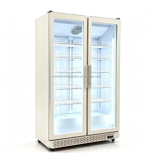 Vitrine Réfrigérée Commerciale 2 Portes Entièrement en Verre et Congélateur à Boissons et Yaourts de Haute Qualité 2026 – Vente en Gros - Product Image 3