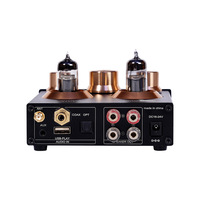 Amplificateur audio numérique stéréo USB HiFi 2.0 canaux TPA3116 50W en aluminium, amplificateur de puissance de classe D pour casque, 2 tubes