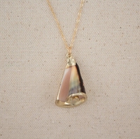 Dainty Bohème Pendentif Étanche En Acier Inoxydable Coquillage Conque Naturel 18K Or Trempé Shell Collier D'été Plage Bijoux