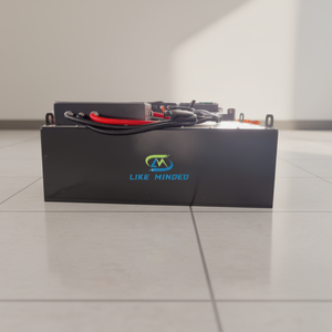 Batería de Litio de Ciclo Profundo de 25.6V 100Ah Rentable para Sistemas Solares Residenciales de Autopropulsión - Product Image 4