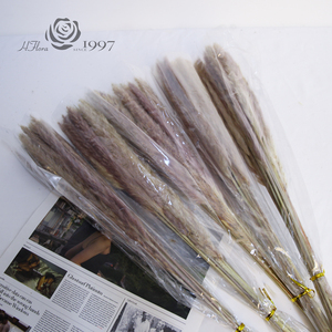 HFloral Vente en gros de <span class=keywords><strong>fleurs</strong></span> <span class=keywords><strong>séchées</strong></span> naturelles de haute qualité Petit bouquet d'herbe de pampa pour la maison Mariage Fleuriste - Product Image 2
