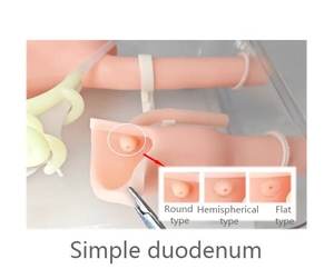 Modelo de Treinamento para Cirurgia de Gastroscopia, Prática de Operação ERCP com Duodenoscópio na Posição Prona para Ensino com Certificação ISO - Product Image 4