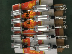 Cilindro Pneumatico Personalizzato Non Standard, Standard ISO15552 ISO6431, Fabbrica Professionale OEM ODM, Corea del Sud, Distribuzione Mondiale - Product Image 6
