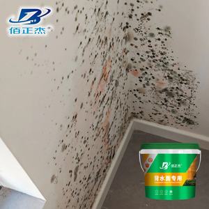 Revêtement imperméable pour mur humide, résistant à <span class=keywords><strong>l</strong></span>'humidité, écologique, durable, haute résistance, réparation de surface de contre-marée - Product Image 1