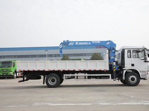 Shacman รถบรรทุกดีเซล4x2, เครนรถบรรทุกรถบรรทุกรถบรรทุกรถบรรทุกไฮดรอลิกบูมสนับมือยกสูงสุด20เมตรประสิทธิภาพสูง5 + ปี - Product Image 4