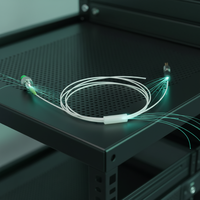 Module de source laser coaxiale à faible bruit 1550 nm à spectre étroit pour la mesure de précision