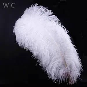 Premium Quality Wholesale White Import 55-60cm Ostrich Feather Plume for Wedding, Carnival, Decoration