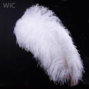 Pluma de avestruz de 55-60cm, Plume blanco de importación para boda, Carnaval, decoración, calidad prémium, venta al por mayor - Product Image 1