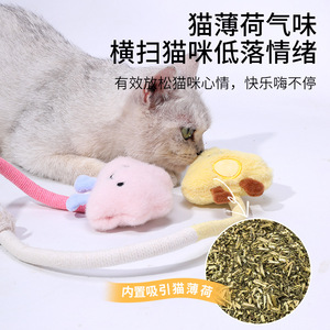 Jouets pour chats, cordes à mâcher interactives avec nuage, crocodile, fromage, carotte, 49cm, pour chatons, fournitures de divertissement pour animaux de compagnie - Product Image 5