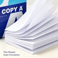 Papier copie RuiSheng Shandong A4 double face 80g antistatique lisse sans enchevêtrement pour encre à cire, 1 rame