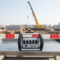 Control Remoto Inalámbrico Industrial de 5 Palancas Hidráulicas, 433 MHz, Impermeable, Código de Aprendizaje, 1 Año de Garantía, Plástico, 500m