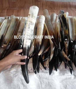 Cuerno de sheo de Búhos Reales, bocina corta y larga, la mejor calidad, India - Product Image 4