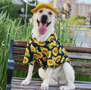 Fournisseur d'articles pour animaux de compagnie, vêtements pour chats et chiens, chemise pour bichon frisé, poméranien, chat à poil court britannique, chemise d'été à imprimé tendance pour chiens - Product Image 1