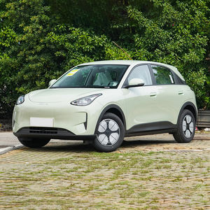 Mini <span class=keywords><strong>auto</strong></span> a buon mercato 2025 Geely GEOME 2025 modello 310km edizione della gioventù Mini <span class=keywords><strong>auto</strong></span> elettrica nuova - Product Image 1