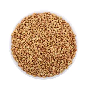 Wholesale Selling quality Rich in protein and mineral elements Organic Bitter Buckwheat tea