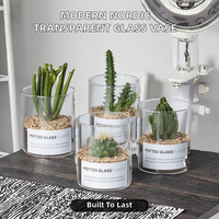 Vase moderne nordique simple en verre transparent écologique, capacité de 1 à 2 L, pot à fleurs droit, jardinage de cactus, vente en gros de bouteilles