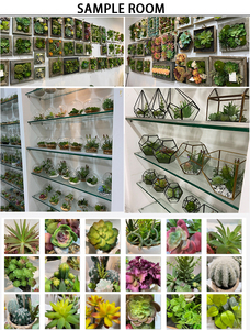 Petites Fausses <span class=keywords><strong>Plantes</strong></span> Succulentes Artificielles <span class=keywords><strong>Plantes</strong></span> en Pots Chambre Chambre Bureau Étagère <span class=keywords><strong>Salle</strong></span> <span class=keywords><strong>de</strong></span> <span class=keywords><strong>Bain</strong></span> Décor Mini Cactus en Plastique - Product Image 6