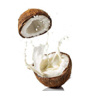 Ready to Ship Agriculture Natural Coconut Dried Coconut <b>Customized</b> Packaging High Quality Manufacture From Vietnam - Product Image 1