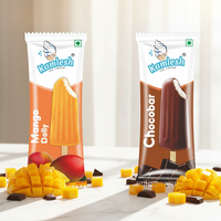 Sachets d'emballage personnalisés en plastique thermoscellable pour bâtonnets de crème glacée et sucettes glacées