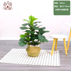 Arbre artificiel Ficus lyrata Dream Castle, 100cm-200cm, résistant aux UV, plante décorative d'intérieur en pot, verdure - Product Image 4