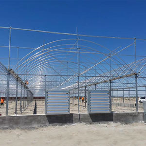 Kits de serre du fabricant Cadre en acier monocouche à faible coût avec film anti-goutte <span class=keywords><strong>pour</strong></span> la culture de fruits de petite à grande taille - Product Image 1