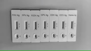 हाथी winbiod H-2 पशु परीक्षण किट के लिए तेजी से कोलाइडल गोल्ड कार्ड पालतू बिल्ली के लिए तेजी से कोलाइडल गोल्ड कार्ड - Product Image 4