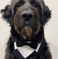 Qiqu – fournitures personnalisées pour chien, Costume de luxe, Bandana, Costume de mariage, nœud papillon, accessoire, collier pour meilleur homme, porte-bague