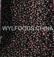 Persediaan jumlah besar Premium Blueberry IQF manis alami untuk pabrik dan grosir