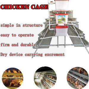 Gabbia per Galline Ovaiole a 3 Livelli e 4 Stanze, Capacità 96 Uccelli, Produzione Cinese, Design Gratuito per il Botswana - Product Image 2