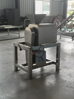 Bietwortel Selderij Gember Koude Pers Sapcentrifuge Gezonde Groentesap Verwerkingsapparatuur