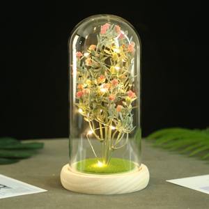 AYOYO OEM Роза для Дня матери стеклянный купол освещение Роза подарок матери цветок подарочная коробка - Product Image 6