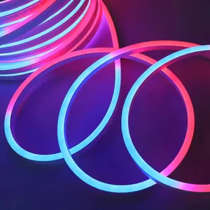 220v 10*20mm sihirli renkli neon şeritler işık led neon led ışık