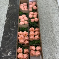 Fleurs artificielles K-0165 Real Touch Austin Rose, couleur pêche rose corail, décoration de mariage de luxe, décoration de la maison, vente en gros, tiges en vrac