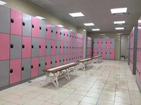 Ventes en gros de casiers de rangement en plastique durables, imperméables, écologiques, recyclables, résistants à la rouille, avec serrure électronique, pour salle de sport, yoga, personnalisables