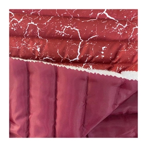 Vải Taffeta/Lớp Lót Polyester 170T 190T 210T Và Vải Lót Bên Trong Cho Áo Khoác Và Mặc Xuống - Product Image 1