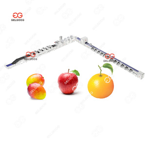 Lavadora y Secadora Industrial de Frutas y Verduras Apple, Máquina de Limpieza de Frutas, Cepillo para Lavar Plátanos, Mangos y Otras Frutas - Product Image 1