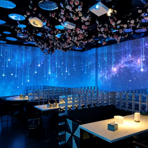 Système de projection interactive immersive 3D pour les murs des restaurants avec des effets visuels dynamiques et thématiques - Product Image 1