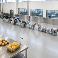 Ligne de production industrielle de frites de pommes de terre semi-frites, coupe-pommes de terre et friteuse à pommes de terre, produit phare