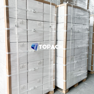 Cinta de Embalaje de Poliéster de 16, 19, 25 y 32 mm, 3/4 y 11/4 Pulgadas, para Contenedores y Palés - Product Image 5