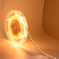 Bande LED SMD 2835 haute luminosité 12V 24V DC, 3000K 4000K 6000K, 120 LED, PCB en cuivre flexible, télécommande, pour aménagement paysager, fabrication OEM