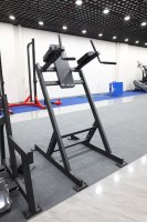 Tour de musculation réglable avec barre de traction, station de dips et barres parallèles pour entraînement de force du haut du corps à domicile