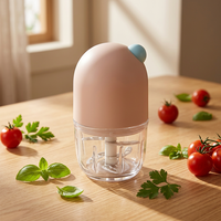 Hachoir Électrique 300 ml, Mini Hachoir à Légumes et Viande, Robot Culinaire Portable, Appareil de Cuisine Multifonctionnel, Préparateur de Sauces