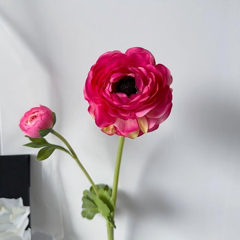 Rose red