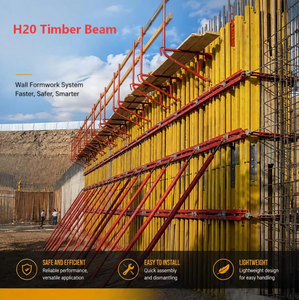 Panel <span class=keywords><strong>de</strong></span> Encofrado <span class=keywords><strong>de</strong></span> Madera TOPBON H20 para Centros Comerciales y Villas - Mejor <span class=keywords><strong>Precio</strong></span> en el Mercado <span class=keywords><strong>de</strong></span> Dubái y Doha - Product Image 5