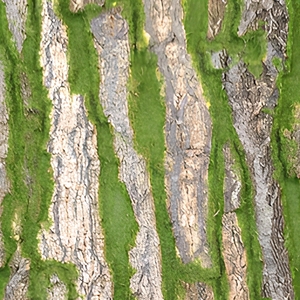 DLL650 Gazon artificiel en plastique floqué pour jardin, simulation de <span class=keywords><strong>lichen</strong></span>, herbe, 20 mm, décoration extérieure, écorces de pin, végétalisation artificielle - Product Image 6