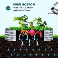 Jardinière surélevée en métal pour potager, pots de fleurs d'extérieur, résistants aux hautes températures, galvanisés