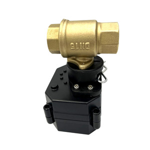 ฟลอมาเวล Fh-mo/fh-s 2.5nm ตัวกระตุ้นบอลแบบลูกปืนของผู้ผลิตฟลอมาเวล พร้อมระบบควบคุมด้วยมือ แบบ 2 สาย 3 สาย 5 สาย ตัวเลือกสัญญาณ - Product Image 6