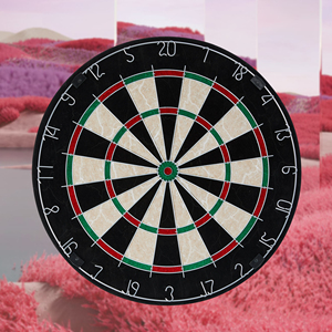Phong cách mạnh mẽ pvd-tráng dartbrett Dartboard bán buôn Phi Tiêu Cung cấp 18 lông dartboards mềm <span class=keywords><strong>tip</strong></span> phi tiêu cho Bộ quà tặng - Product Image 2